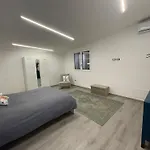 Rarihouse Augusta